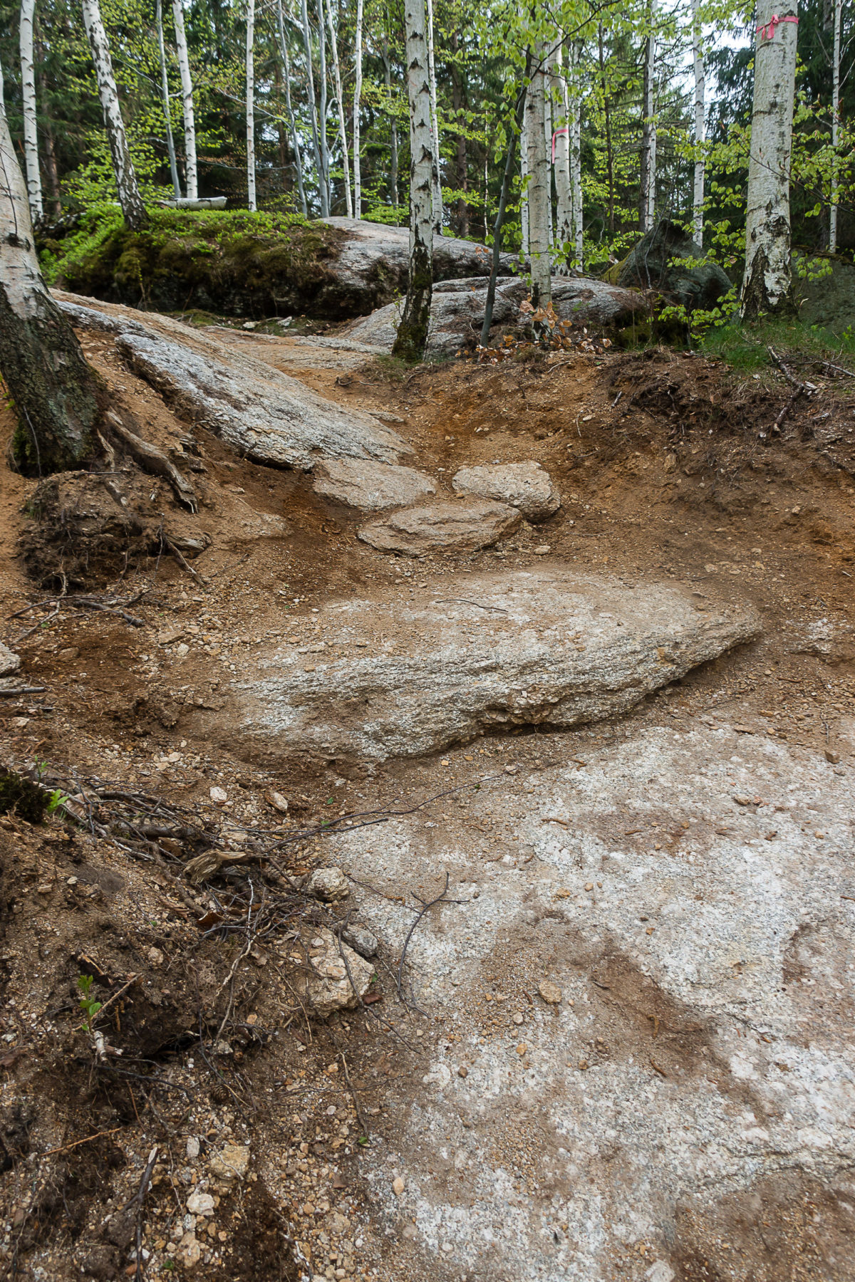 Enduro MTB Trails im Olbrzymy